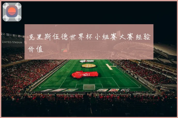 克里斯伍德世界杯小组赛大赛经验价值