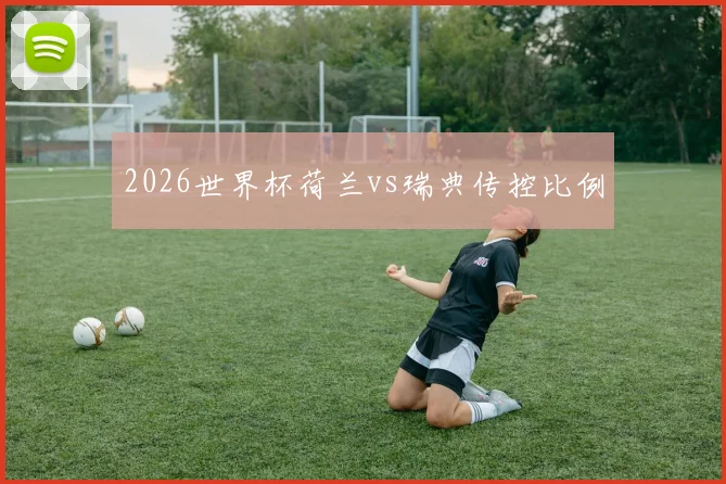 2026世界杯荷兰vs瑞典传控比例