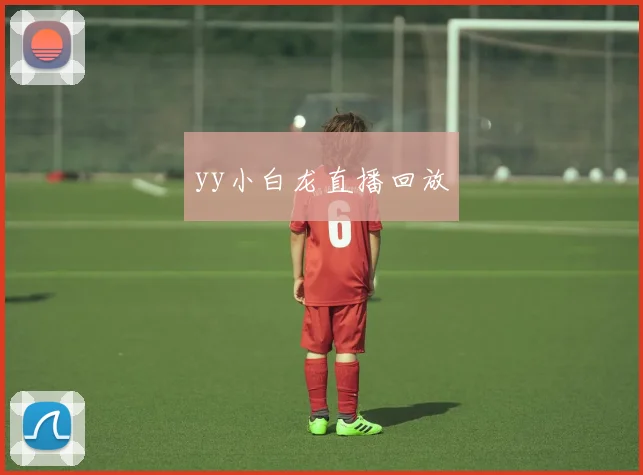 yy小白龙直播回放