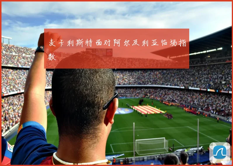 麦卡利斯特面对阿尔及利亚临场指数