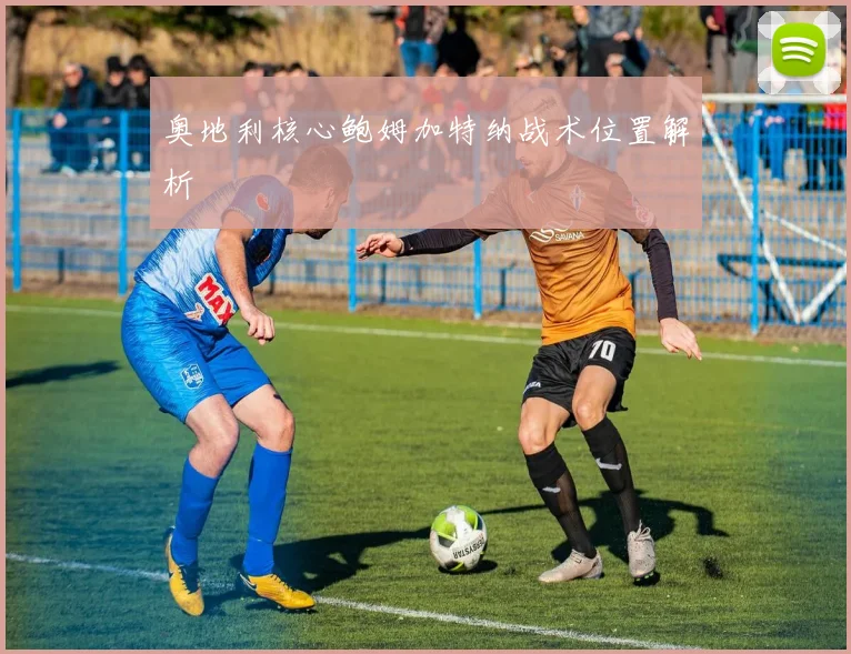奥地利核心鲍姆加特纳战术位置解析
