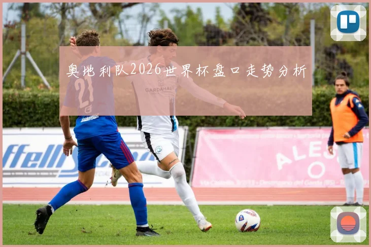 奥地利队2026世界杯盘口走势分析