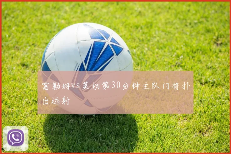 富勒姆vs莱切第30分钟主队门将扑出远射