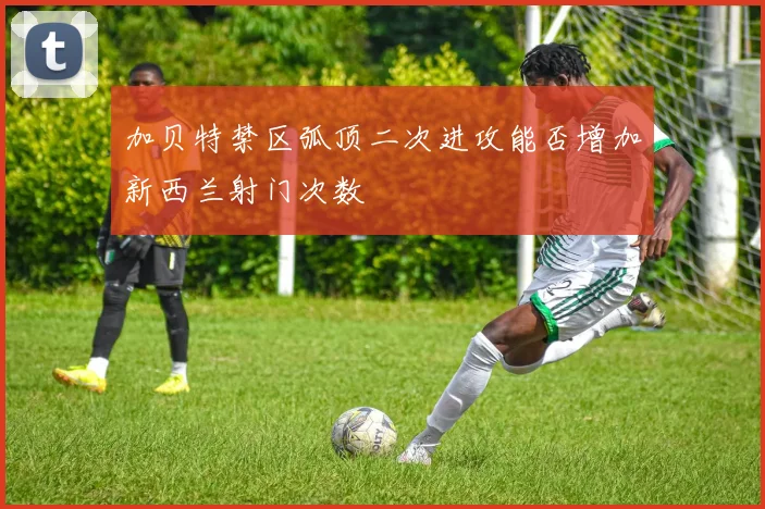加贝特禁区弧顶二次进攻能否增加新西兰射门次数