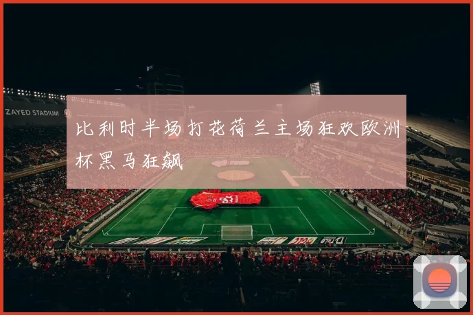 比利时半场打花荷兰主场狂欢欧洲杯黑马狂飙